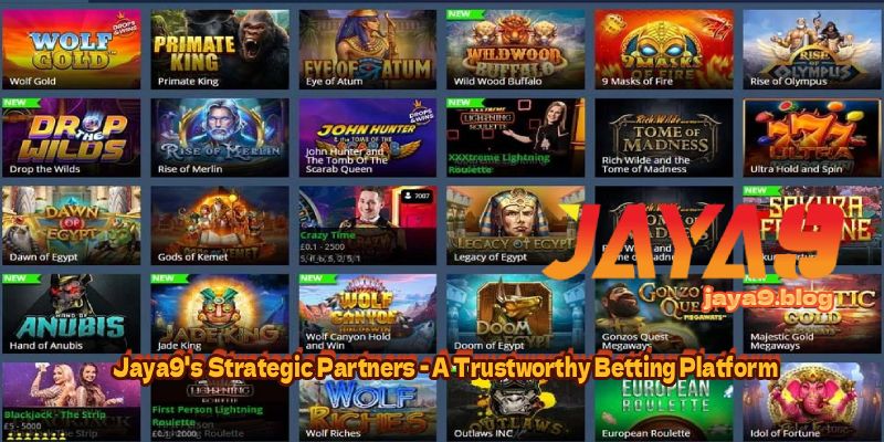 Understanding How Slot Game Providers Test Their Games Understanding How Slot Game Providers Test Their Games